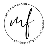 marina fischer multimedia production logo - Similar company to Netwhat