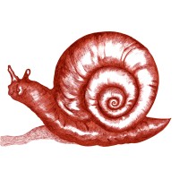 my-Vios logo - Similar company to Siba Soft Sa