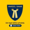 VakeelSaab - Get Legal Advice Instantly & Anonymously logo - Similar company to Digispex