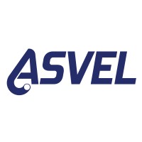 Asvel logo - Similar company to 3Nv