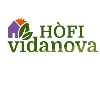 Hofi Vidanova logo - Similar company to Lyongo Architecture