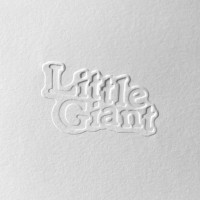 Little Giant Production logo - Similar company to Cebe Studio