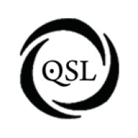Qsyslogic LTD logo - Similar company to Datacentric-Services