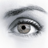 BEMARMI - Natural Stone - Slabs - Tiles logo - Similar company to Zen'Arôme