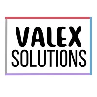 Valex Solutions logo - Similar company to The Creatr Lab