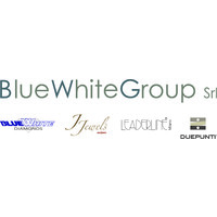 Blue White Group Srl. logo - Similar company to Diamovida