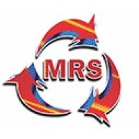 Mechanical Rotating Solutions South Africa logo - Similar company to Turbofluid Engineering