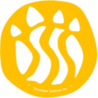 DataSense Solutions logo - Similar company to Data Sense Solutions