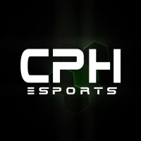 Critical Phoenix logo - Similar company to Hackscript Apsit