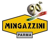 MINGAZZINI S.R.L. logo - Similar company to Ferrocuve