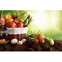 Agro-corporation logo - Similar company to Special Ingredients Italia