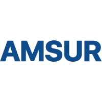 Amsur Export-Import Joint Stock Company logo - Similar company to Amsur