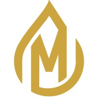 Meccanico Ltd logo - Similar company to Sd Fire Solutions