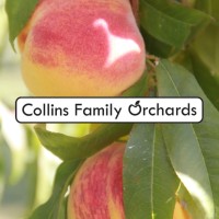 Collins Family Orchards logo - Similar company to Re:Public