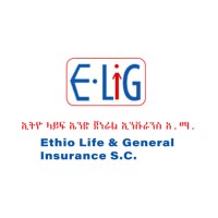 Ethio Life and General Insurance S.C. logo - Similar company to Axion Tech