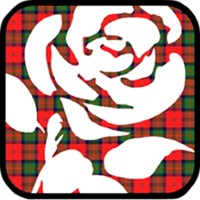 Labour Hame logo - Similar company to Our Scottish Future