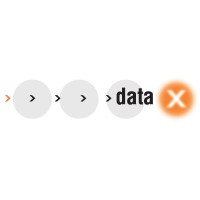 dataX Software logo - Similar company to Rocketsoft