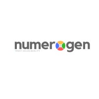 Numerogen Solutions logo - Similar company to Dpwebz Technology