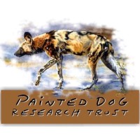 Painted Dog Research Trust logo - Similar company to Project Biome