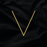 Vida Management logo - Similar company to Evnt Hse