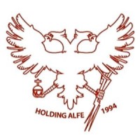 Alfe Consulting SRL logo - Similar company to Dropsa Spa