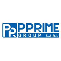 Pprime Group logo - Similar company to P Prime
