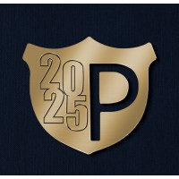 Presale1️⃣ logo - Similar company to Cix-A / Cyber Intelligence X Sectors Alliance