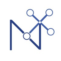 NexusXperts logo - Similar company to Marsh Tech
