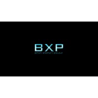 BXP SUPPORT AND SOLUTIONS PVT LTD logo - Similar company to Bxp Software
