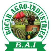 BOCAR AGRO-INDUSTRIES logo - Similar company to Jatropha Finances