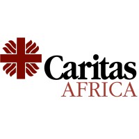 Caritas Africa logo - Similar company to The Downforce Trust
