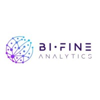 BI-Fine Analytics logo - Similar company to Evuca It