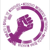 Kosovo Women's Network logo - Similar company to The A.I. Ethicist