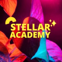 Stellar Academy logo - Similar company to Stellar Academy