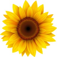 The Girasol School logo - Similar company to Island Boys Recruiting