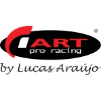 ART Pro Racing logo - Similar company to The Racing Factory
