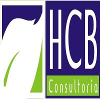 HCB Consultoria Empresarial Ltda. logo - Similar company to Hcr Consulting