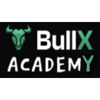 BullX Academy logo - Similar company to Quick Intel