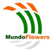 MUNDO FLOWERS logo - Similar company to Sarl Comflor