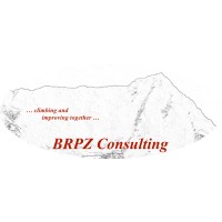BRPZ Consulting logo - Similar company to Stevens Recycling N.V.