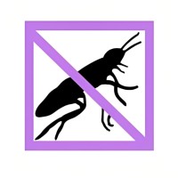 Lavender Pest Control