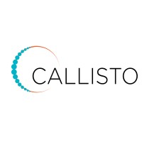 Callisto Capital logo - Similar company to Oxido Solutions