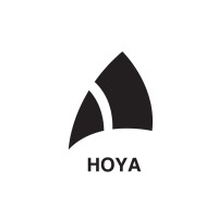 Hoya Consultancy logo - Similar company to Aban Foundation