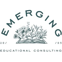 Emerging Educational Consulting logo - Similar company to Code Financial Services