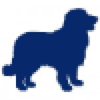 Blue Dog Bv