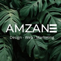 Amzane Marketing logo - Similar company to Freeman Technology