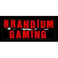 Brandium Gaming logo - Similar company to Play2Pay, Inc.