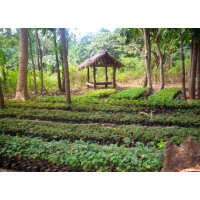 Virmurco Sustainable Wood Products logo - Similar company to Boost Export Indonesia