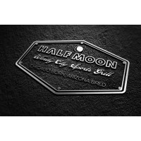 Half Moon Windy City Sports Grill