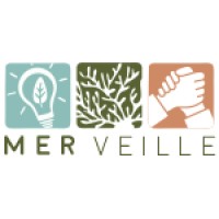 Merveille logo - Similar company to Cardweb.Com, Inc.